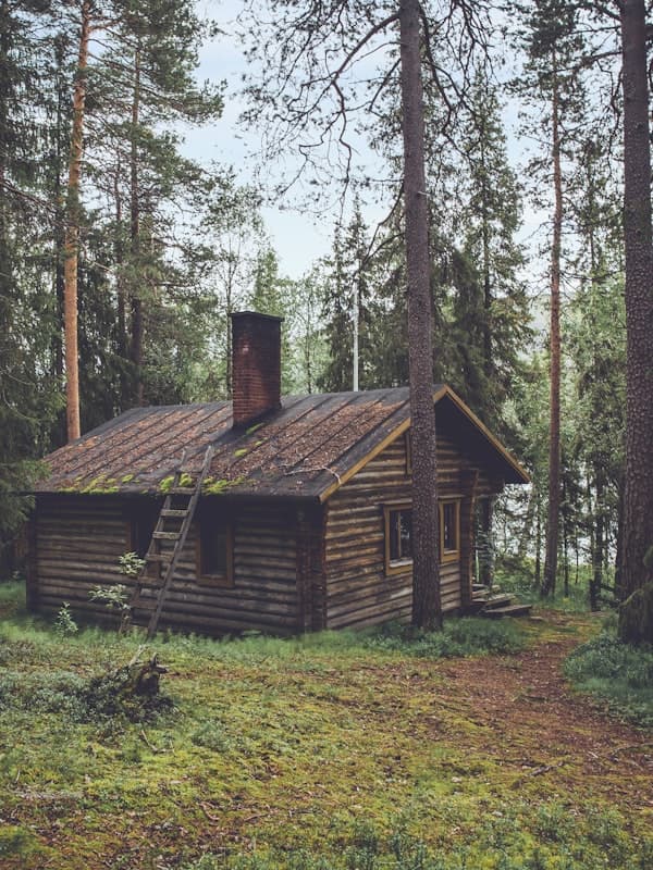 Cabana eco na floresta